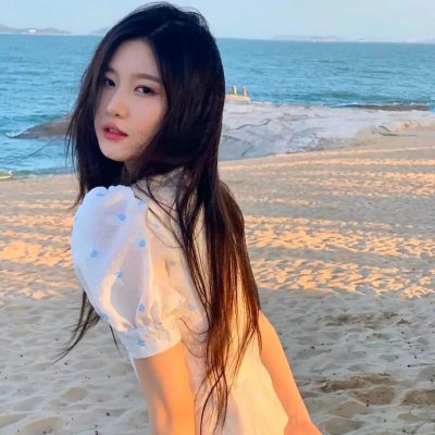 海豚伯尼2